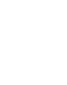 FVR Logo